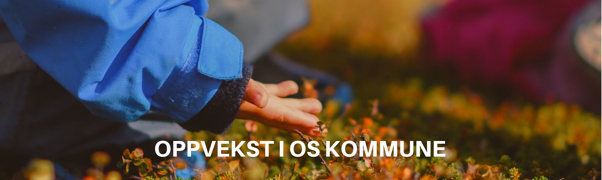 Oppvekst_i_os_kommune